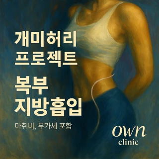 개미허리 프로젝트 복부 지방흡입