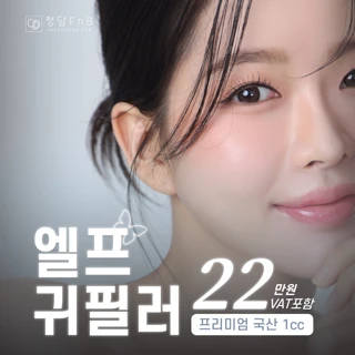 대구 엘프 귀필러