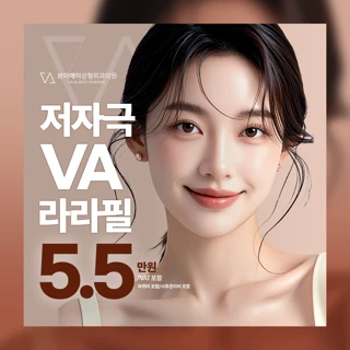 VA라라필