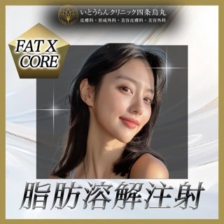 脂肪溶解注射 (FAT X CORE)