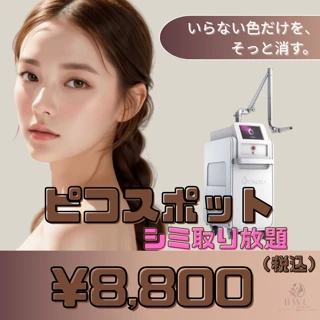 ピコスポット!【10分間シミ取り放題】|今注目の美肌メニュー|気になる所全部当てちゃいます|個数・サイズ制限なし!
