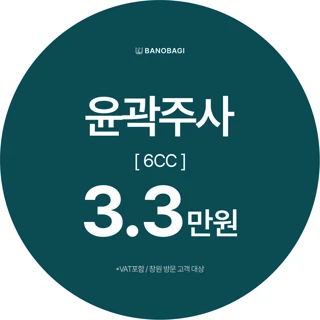 윤곽주사 6CC