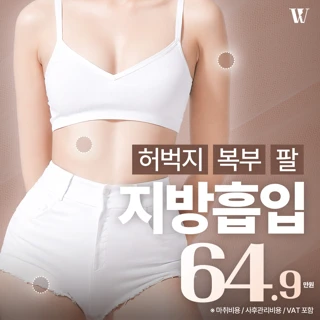 허벅지 복부 팔지방흡입