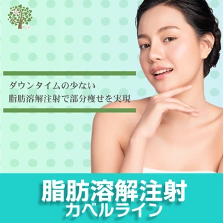 脂肪溶解注射カベルライン(1cc)