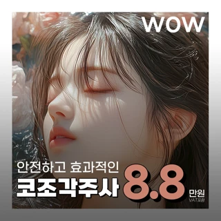 WOW 세련되게 코조각주사