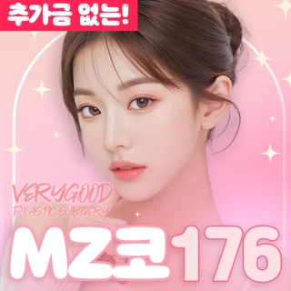 추가금X 코성형