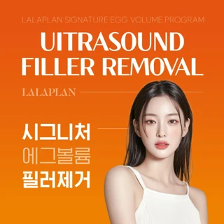 라라플랜 초음파 필러 제거-필러 녹이는 주사