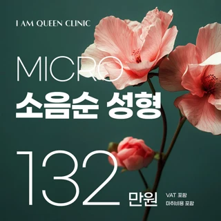QUEENS 소음순 성형