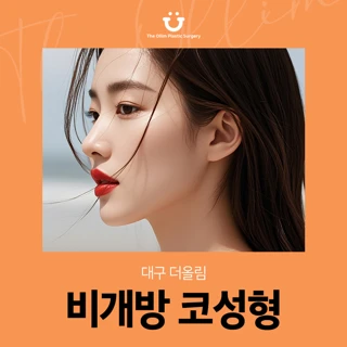 대구 더올림 비개방 코성형