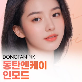 동탄엔케이 인모드