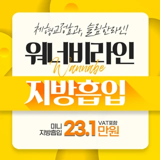 워너비라인 대용량 지방흡입
