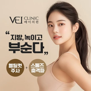 지방분해주사 부순다 체외충격파