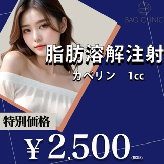 脂肪溶解注射(カベリン)1cc~ |顔・体OK|2cc目以降も同額適応可