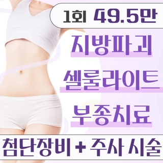 지방파괴 레이저 셀룰리스. 허벅지.복부.등.팔 지방분해주사&초음파지방분해&충격파지방분해