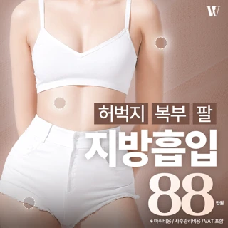 허벅지 복부 팔지방흡입