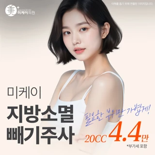 미케이 지방소멸 빼기주사_복부, 팔, 옆구리, 종아리, 허벅지, 얼굴