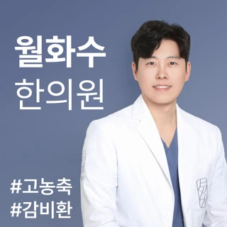 다이어트한약 감비환 스틱 1개월분