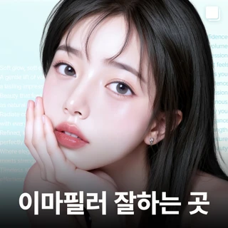 드레스 이마필러