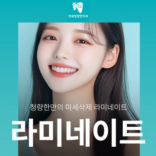 미세 삭제 라미네이트