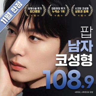 11월 한정 팝 남자 콧대 코끝 직선코성형