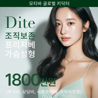 디테 모티바 프리저베 가슴성형