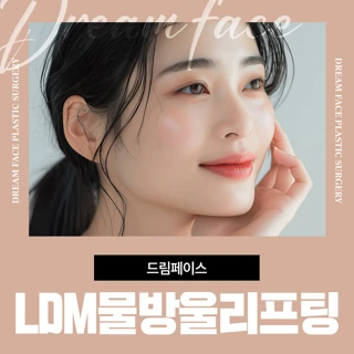 LDM물방울리프팅-모델링팩 포함
