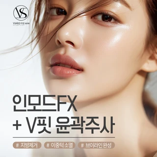 인모드 FX & V핏 윤곽 주사