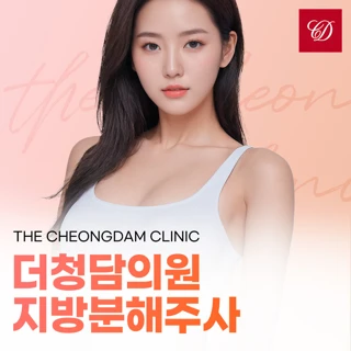 더청담 지방분해주사