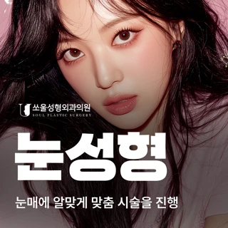 쏘울 눈성형