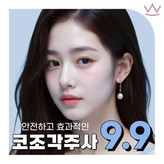 WOW 세련되게 코조각주사