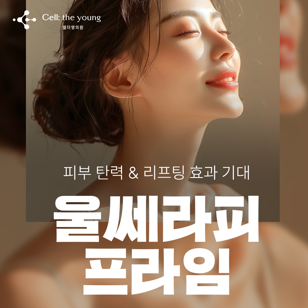 셀더영 울쎄라피프라임