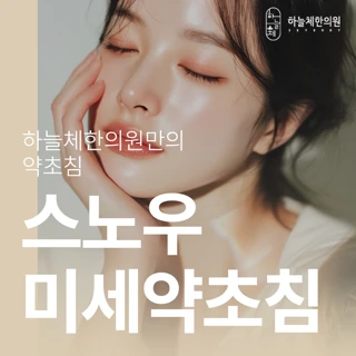 스노우 미세약초침 시술 1회 체험가