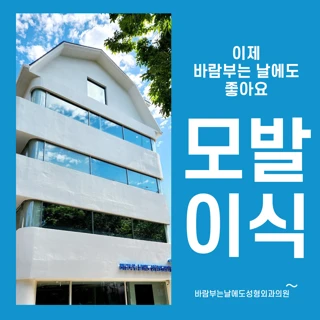 바람부는날에도_모발이식