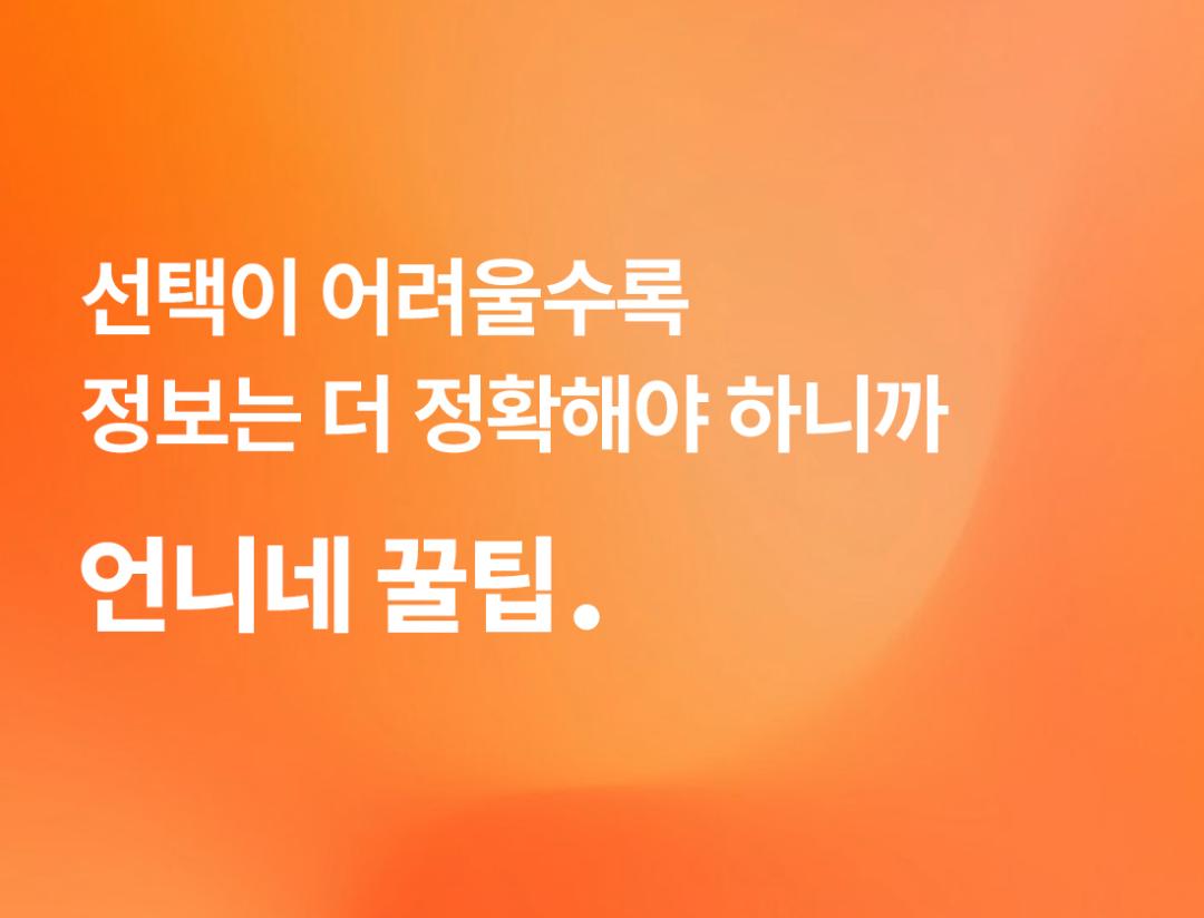 언니네꿀팁 소개