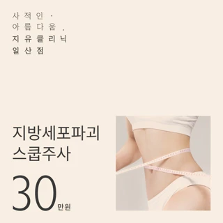 지방세포파괴 스쿱주사