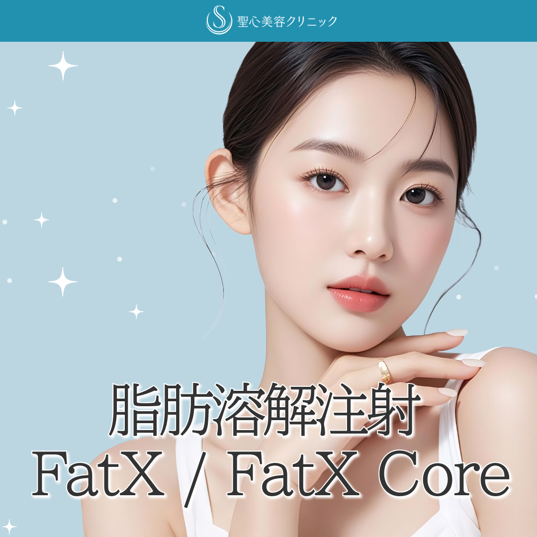 脂肪溶解注射 Fat X ／ Fat X Core（ファットエックス／ファット