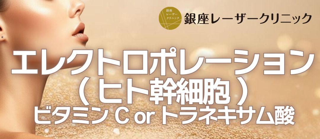 ご新規様】エレクトロポレーション ヒト幹細胞 ビタミンC or