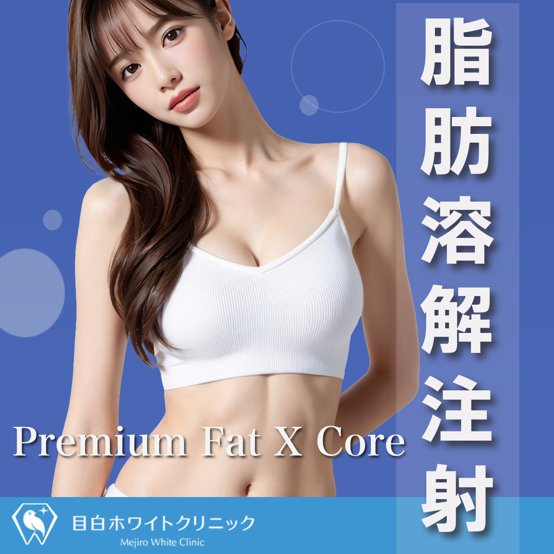 脂肪溶解注射（Premium Fat X Core 10cc〜）｜脂肪を減らす | 目白