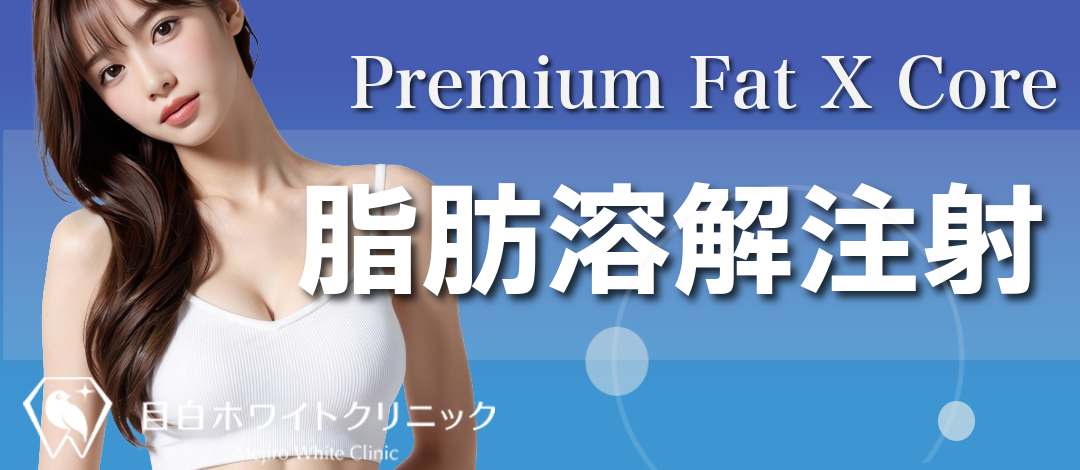 脂肪溶解注射（Premium Fat X Core 10cc〜）｜脂肪を減らす | 目白