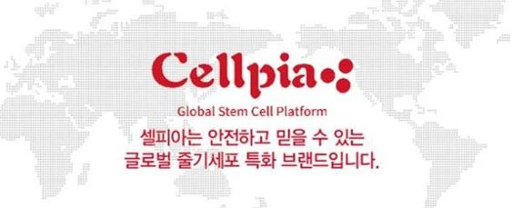 셀피아의원