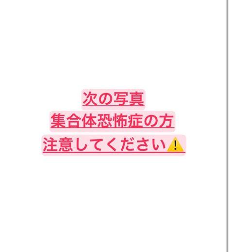 before photo: 診断・検査