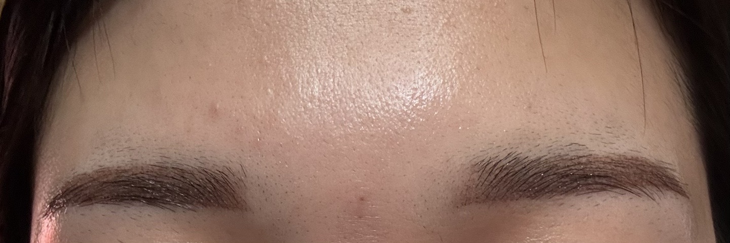 麻酔代込 再来OK】アートメイク｜リップor眉（3D毛並or2Dパウダー）｜1