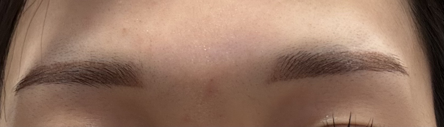 麻酔代込 再来OK】アートメイク｜リップor眉（3D毛並or2Dパウダー）｜1